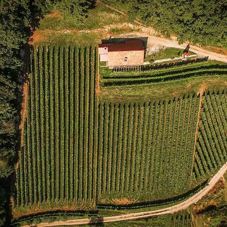 Sleme House *