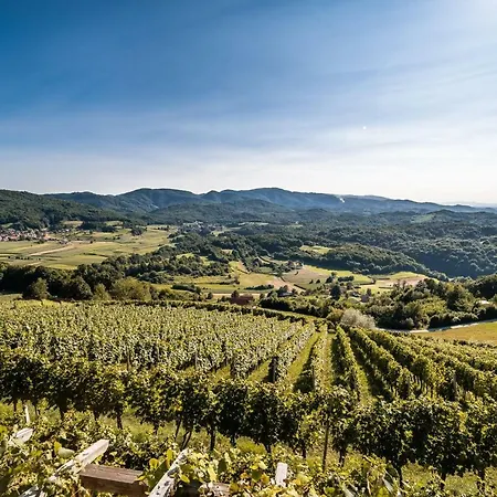 Sleme House Krška Vas