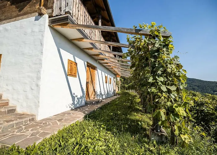 Sleme House Летний дом *